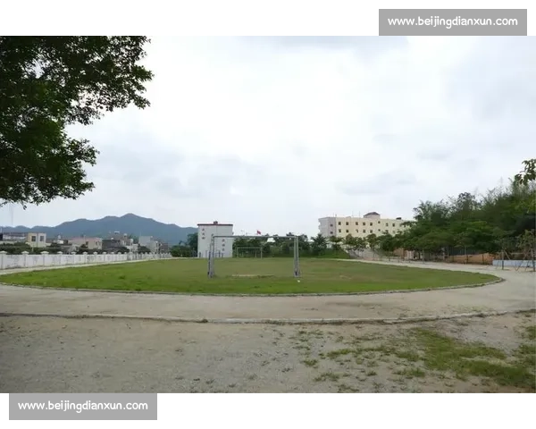 在自由与狂热的拉锯中寻找理性与人性的未来之路与社会共存的可能答案